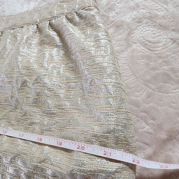 Ann Taylor Loft Petites wool blend champagne silver lined mini skirt 12P - Picture 9 of 10